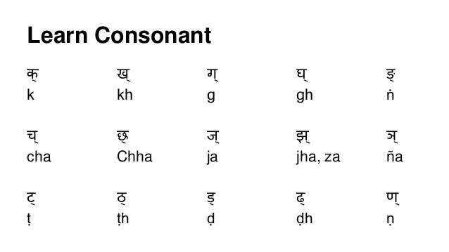 Hindi Basics Pdf